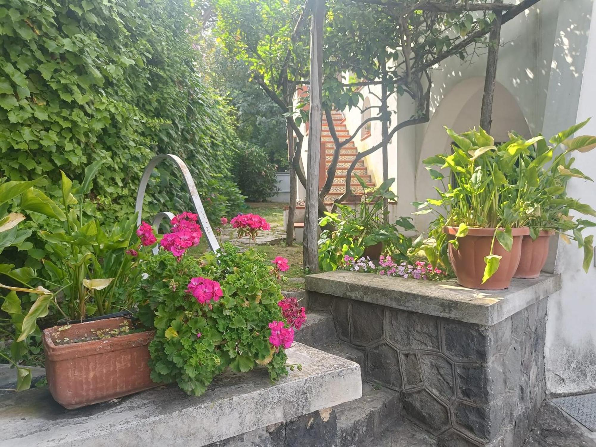 Casa Olivella Apartment Torre del Greco Exterior photo